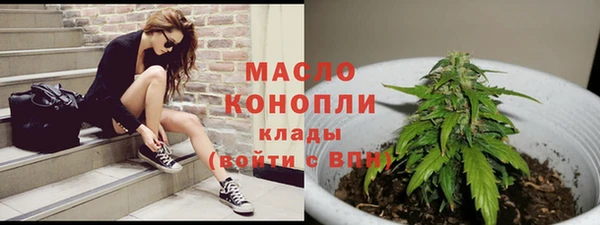дмт Вяземский