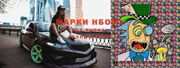дмт Вяземский