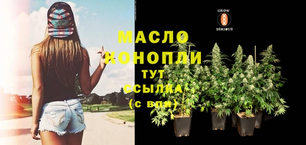 дмт Вяземский